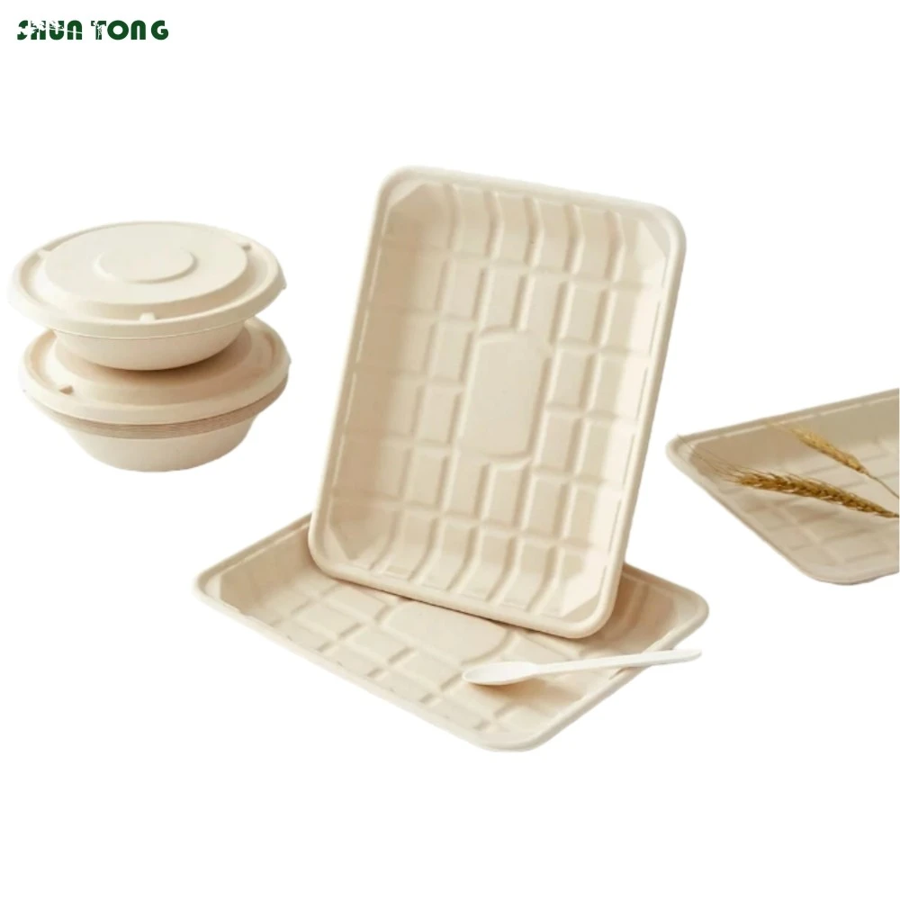 Bagasse Food Trays Suppliers