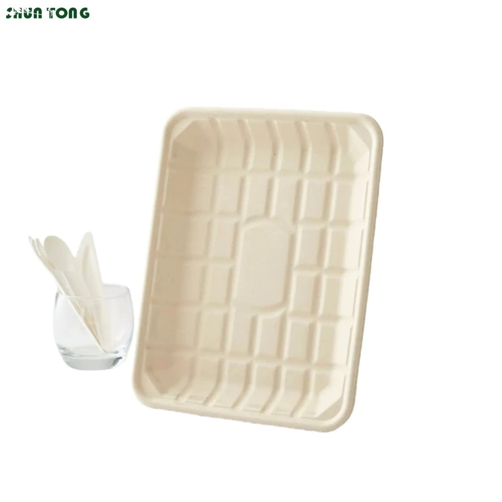 Customized Bagasse Food Trays